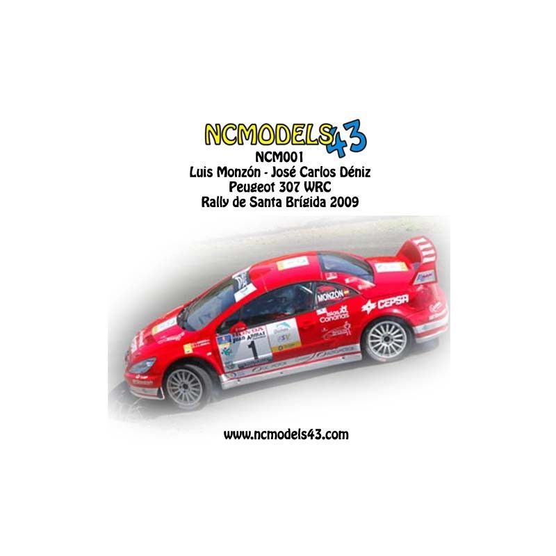 Luis Monzón - Peugeot 307 WRC - Rally Santa Brígida 2009