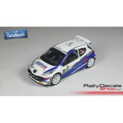 Mathieu Arzeno - Peugeot 207 S2000 - Circuit of Ireland Rally 2012