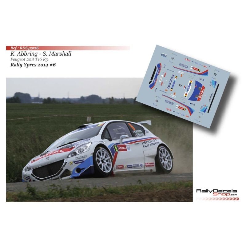 Kevin Abbring - Peugeot 208 T16 - Rally Ypres 2014