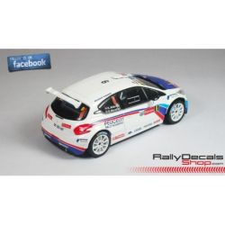 Kevin Abbring - Peugeot 208 T16 - Rally Ypres 2014