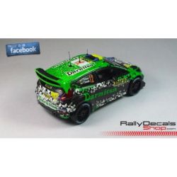 Yuriy Protasov - Ford Fiesta RS WRC - Rally Alemania 2014