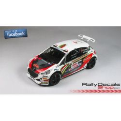 Miguel Campos - Peugeot 208 T16 R5 - Rali Vinho da Madeira 2014