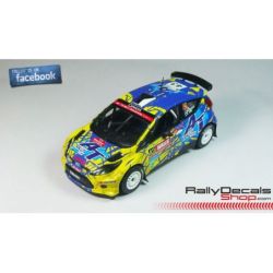 Martin Kangur - Ford Fiesta S2000 - Rally Wales 2014