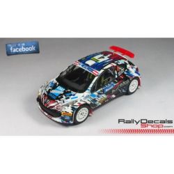 Robert Consani - Peugeot 207 S2000 - Rally Jänner 2015