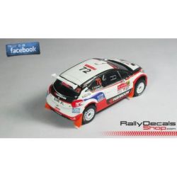 Bernardo Sousa - Peugeot 208 T16 - Rally Portugal 2015