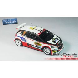 Nil Solans - Peugeot 208 T16 - Rally Deutschland 2015