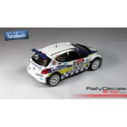 Peugeot 207 S2000 - Jean Luc Roche - Rally MontBlanc 2013