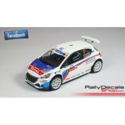 Peugeot 208 T16 - Kevin Abbring - Rally Ypres 2014