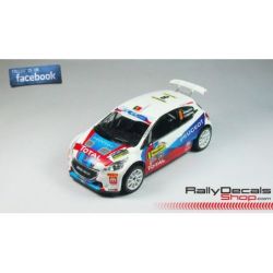 Peugeot 208 T16 - Bruno Magalhaes - Rally Barum 2014