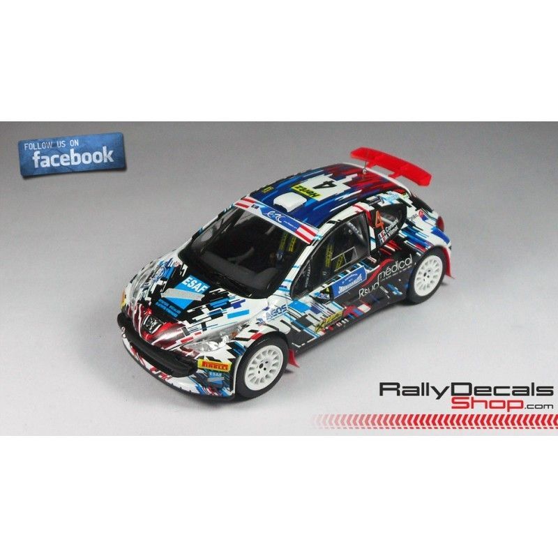 Peugeot 207 S2000 - Robert Consani - Rally Jänner 2015