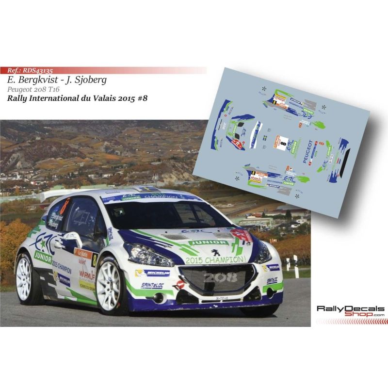 Emil Bergkvist - Peugeot 208 T16 - Rally du Valais 2015