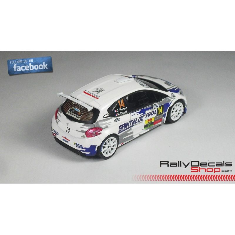 Peugeot 208 T16 - Cedric Robert - Rally Lyon 2015