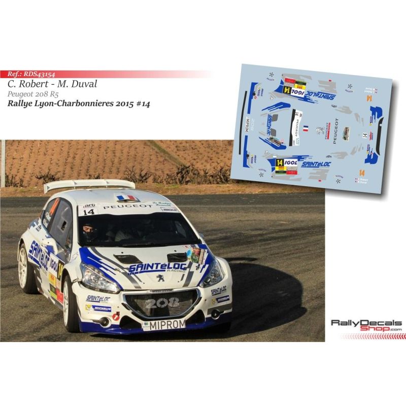 Cedric Robert - Peugeot 208 T16 - Rally Lyon 2015