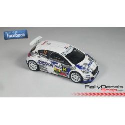 Cedric Robert - Peugeot 208 T16 - Rally Lyon 2015