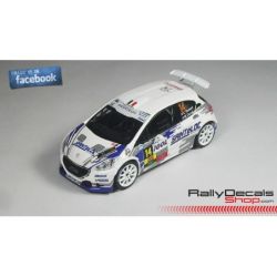 Cedric Robert - Peugeot 208 T16 - Rally Lyon 2015