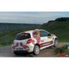 Egoi Eder Valdés - Renault Clio R3 - Rally Alemania 2014