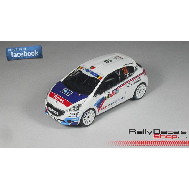 Peugeot 208 R2 - Diogo Gago - Rally Ypres 2015