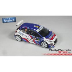 Peugeot 208 T16 - Cédric De Cecco - Spa Rally 2016