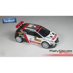 Hubert Ptaszek - Peugeot 208 T16 - Rally Alemania 2016
