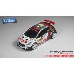 Hubert Ptaszek - Peugeot 208 T16 - Rally Alemania 2016