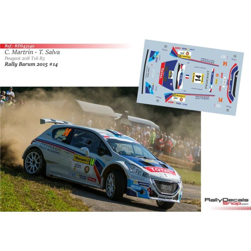 Charles Martin - Peugeot 208 T16 - Rally Barum 2015
