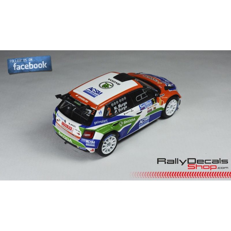 Skoda Fabia R5 - Pedro Burgo - Rally Sierra Morena 2017