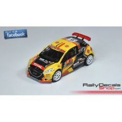 Guillaime de Mevius - Peugeot 208 R5 - Rally Montecarlo 2018