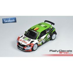 Steve Matterne - Skoda Fabia R5 - Rally Haspengouw 2018