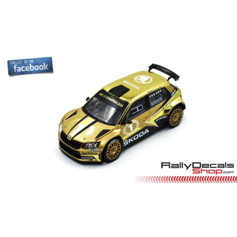 Skoda Fabia R5 - Skoda Motorsport Show Car