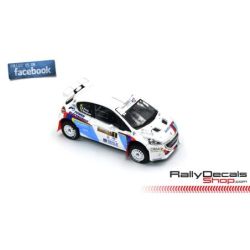 Peugeot 208 R5 - Xevi Pons - Rally Los Volcanes 2018