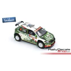 Skoda Fabia R5 - Paulo Nobre - Rally Argentina 2019
