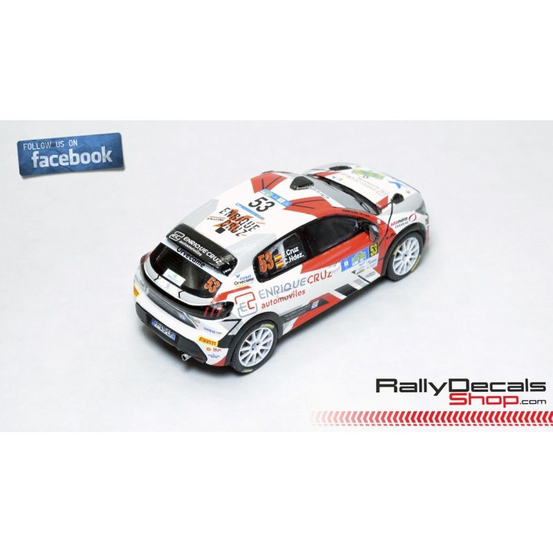 Peugeot 208 Rally 4 - Fernando Cruz - Rally Islas Canarias 2022