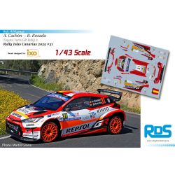 Alejandro Cachón - Toyota...