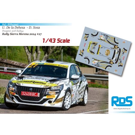 Unai De la Dehesa - Peugeot 208 Rally4 - Rally Sierra Morena 2024